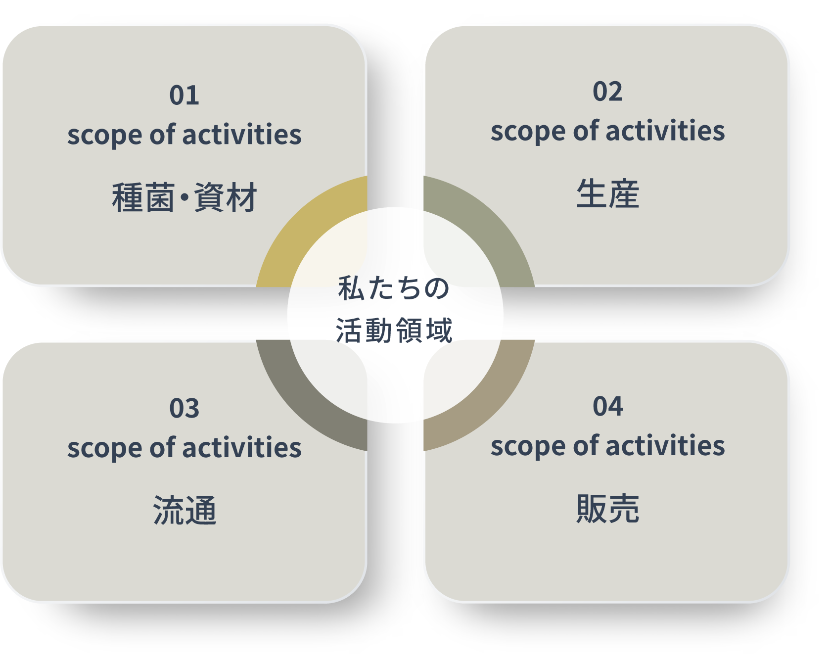 私たちの活動領域［01. scope of activities 種菌・資材］［02. scope of activities 生産］［03. scope of activities 流通］［04. scope of activities 販売］