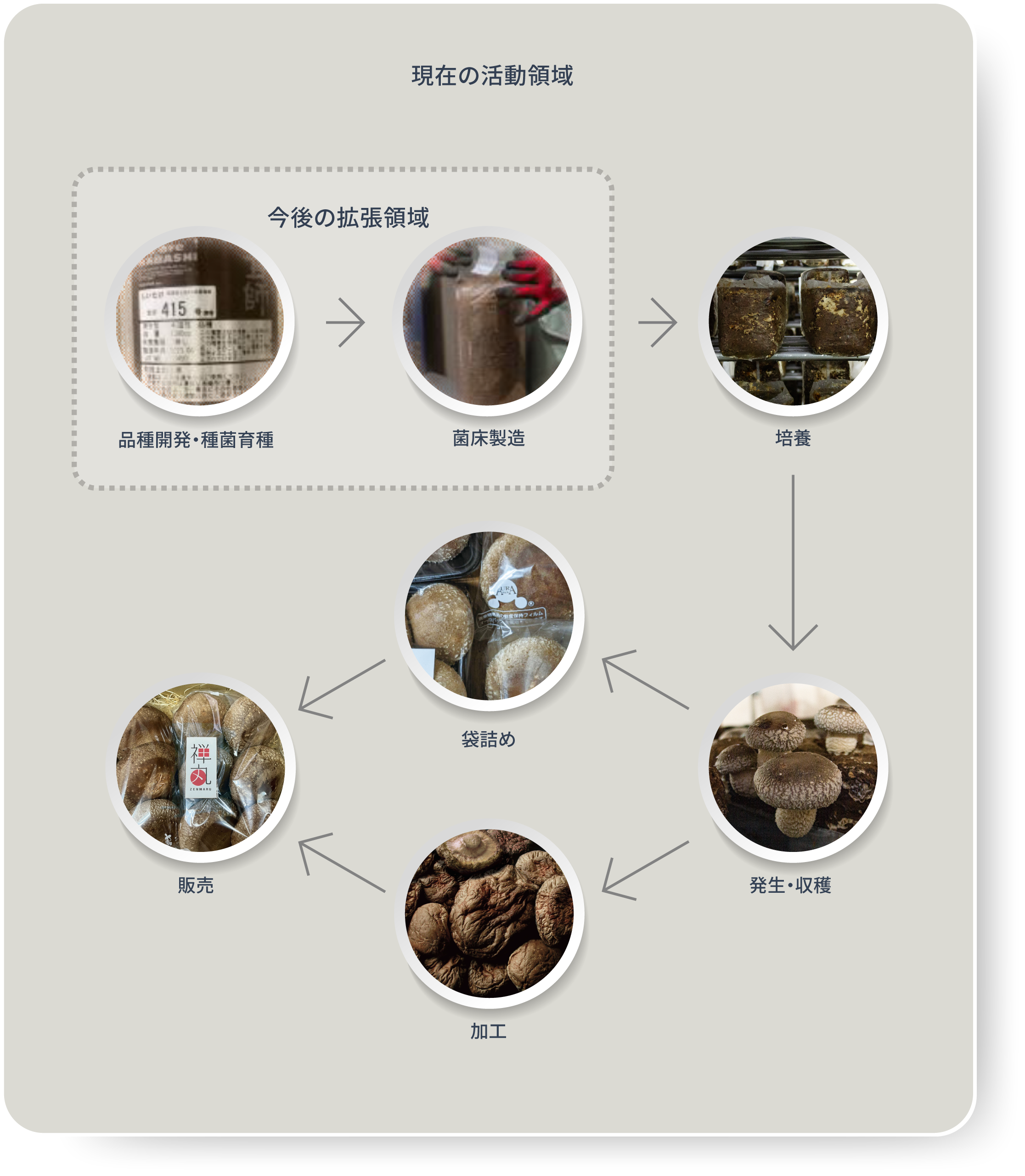 現在の活動領域と今後の拡張領域